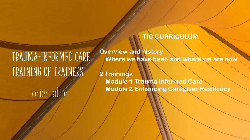 tic curriculum