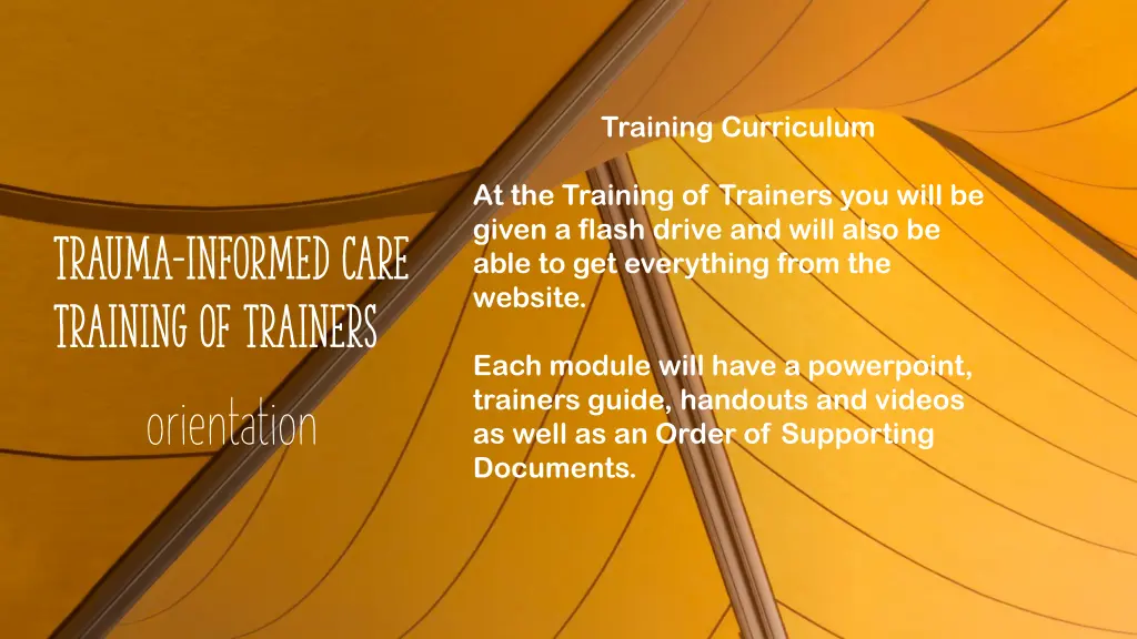 training curriculum