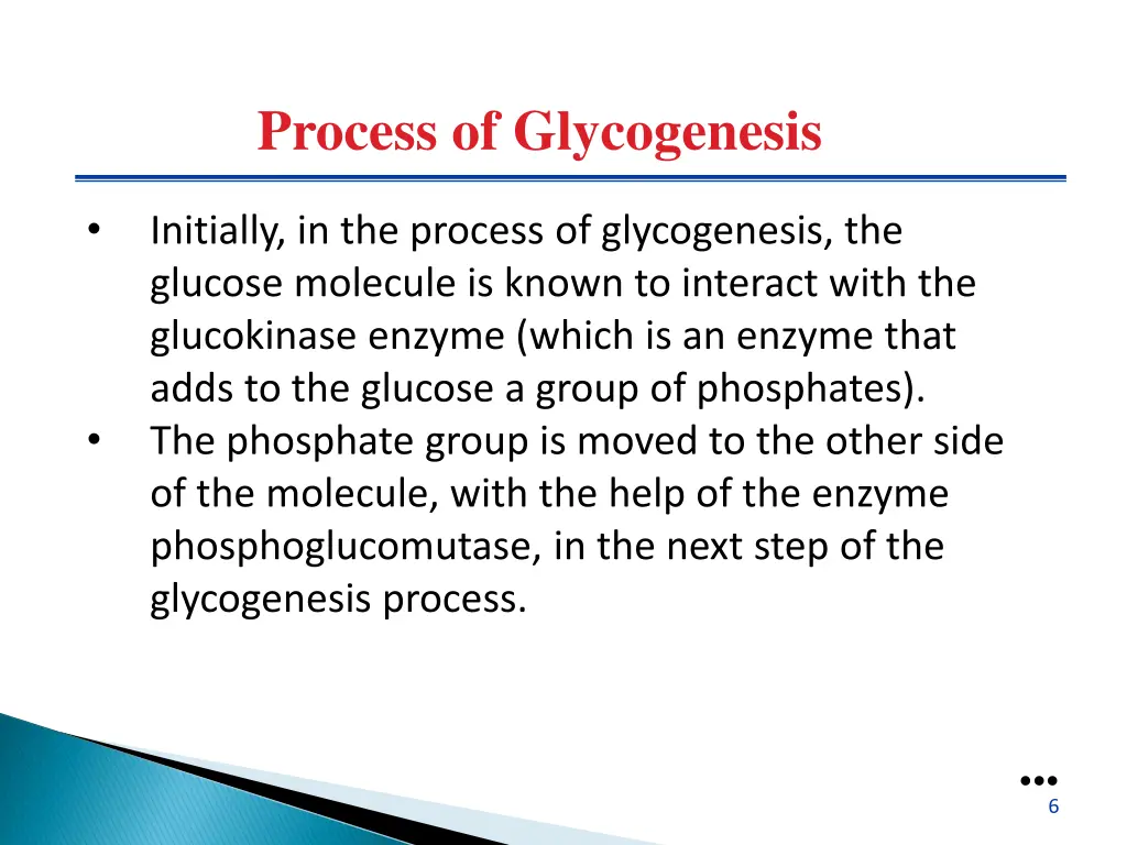 process of glycogenesis 1
