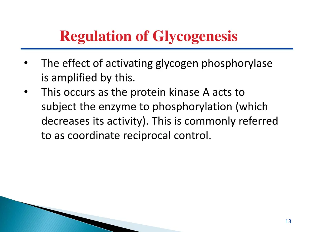 regulation of glycogenesis 3