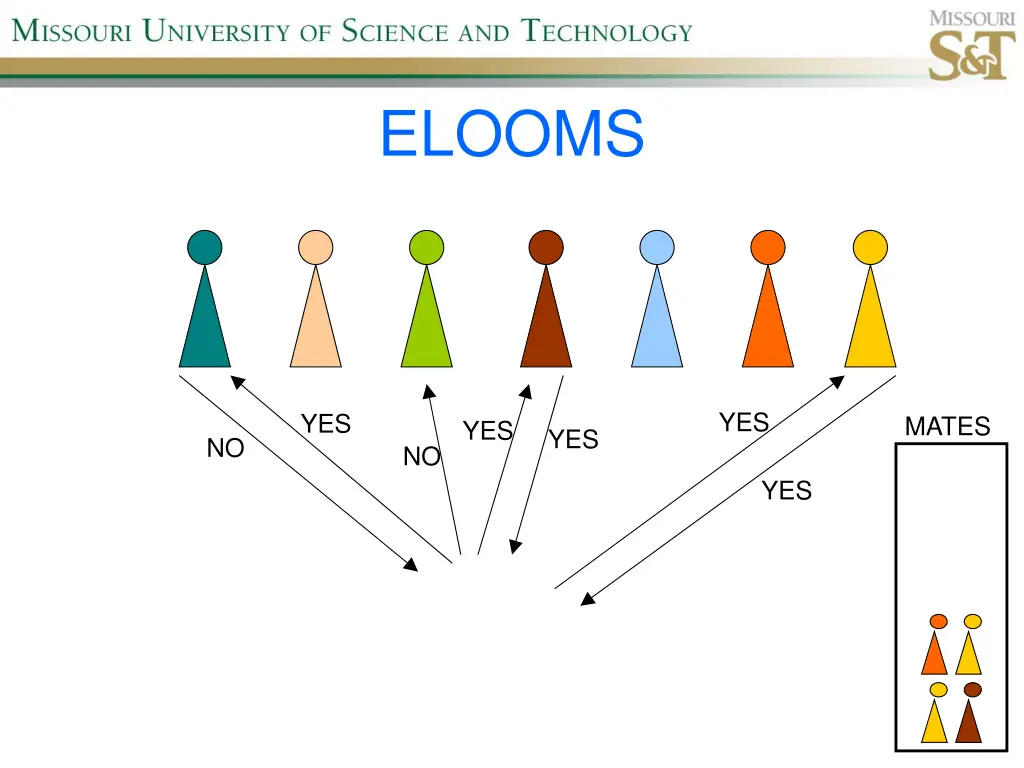 elooms