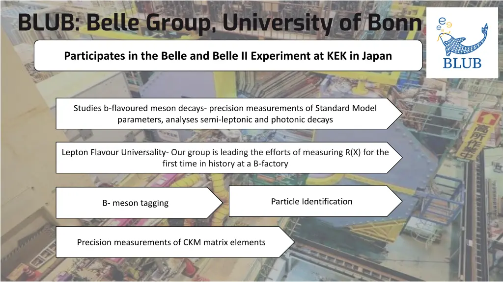 blub belle group university of bonn