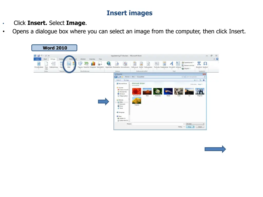insert images