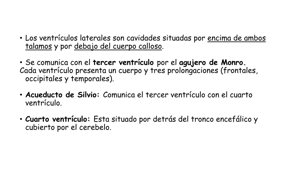 los ventr culos laterales son cavidades situadas