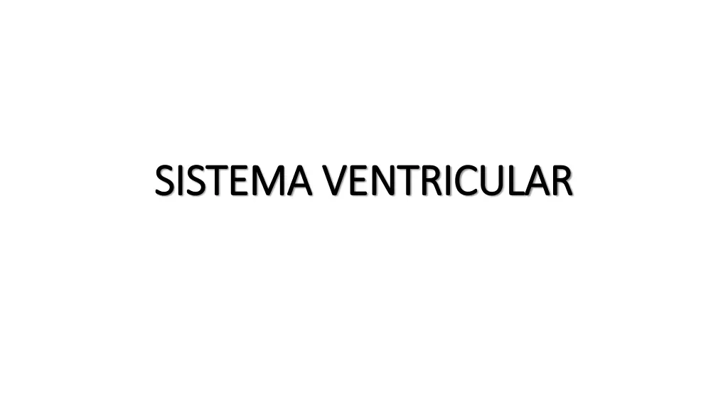 sistema ventricular sistema ventricular