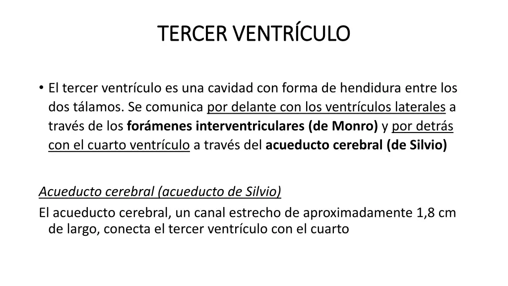 tercer ventr culo tercer ventr culo