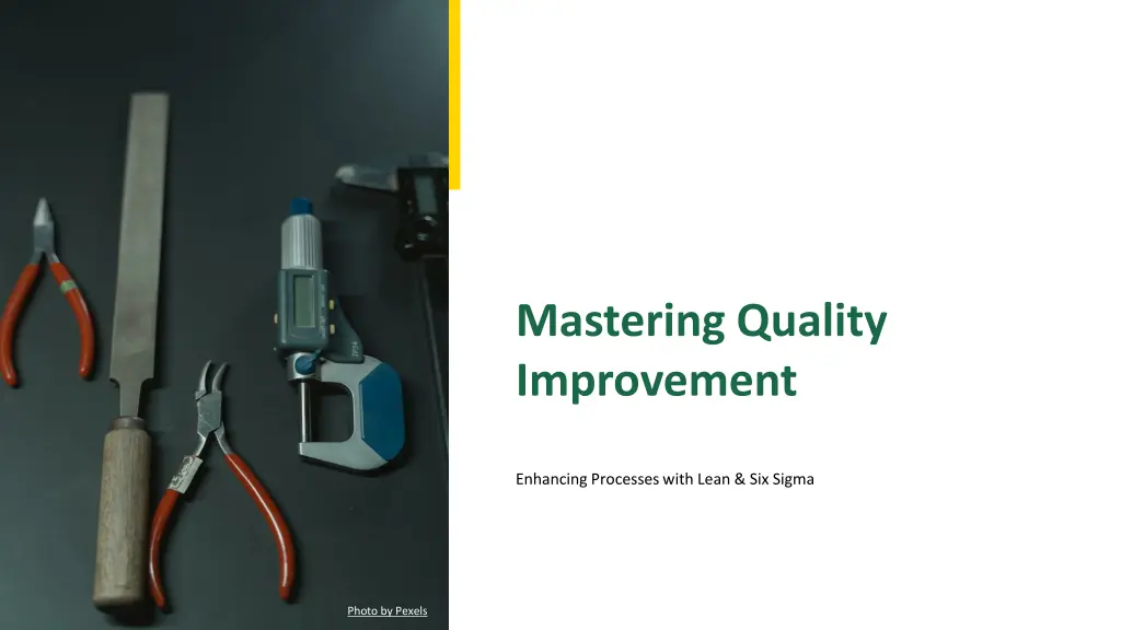 mastering quality improvement