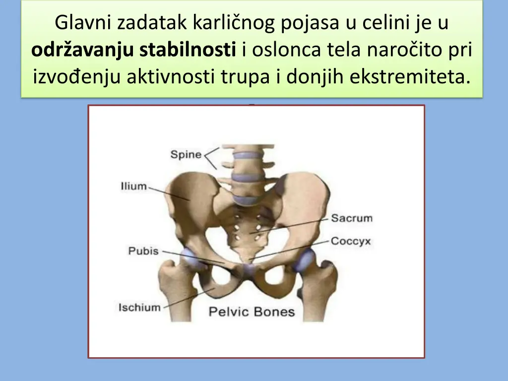 g lavni zadatak karli nog pojasa u celini