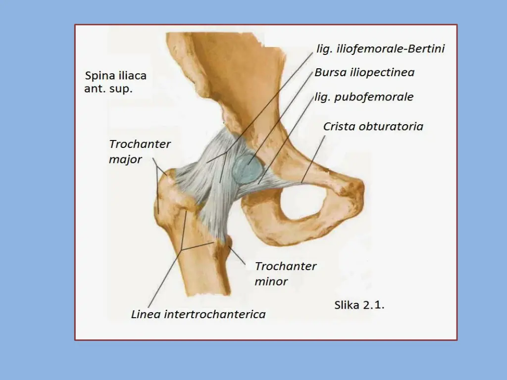 slide15