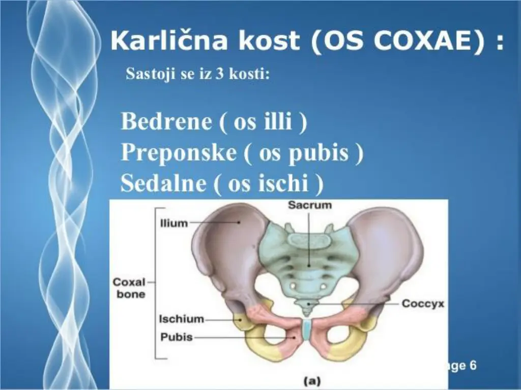 slide5
