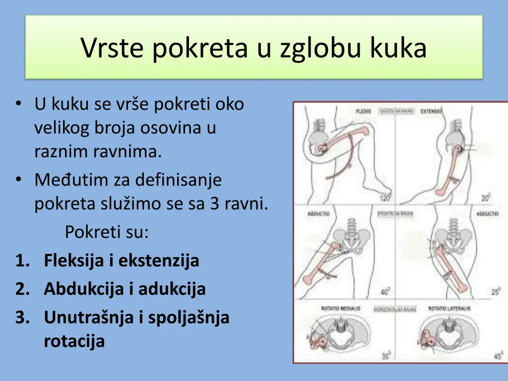 vrste pokreta u zglobu kuka