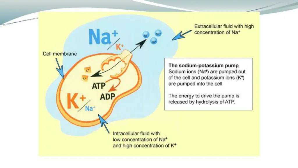 slide14