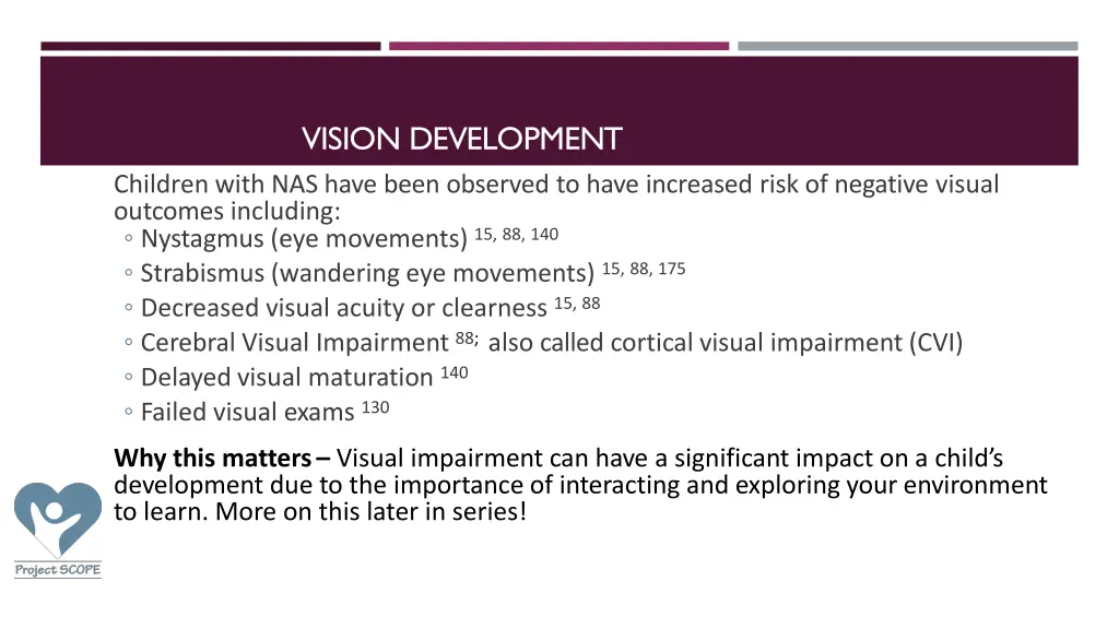 vision development