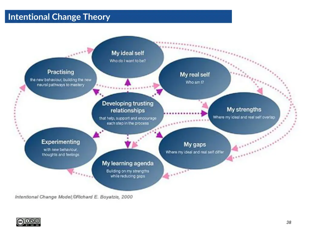intentional change theory
