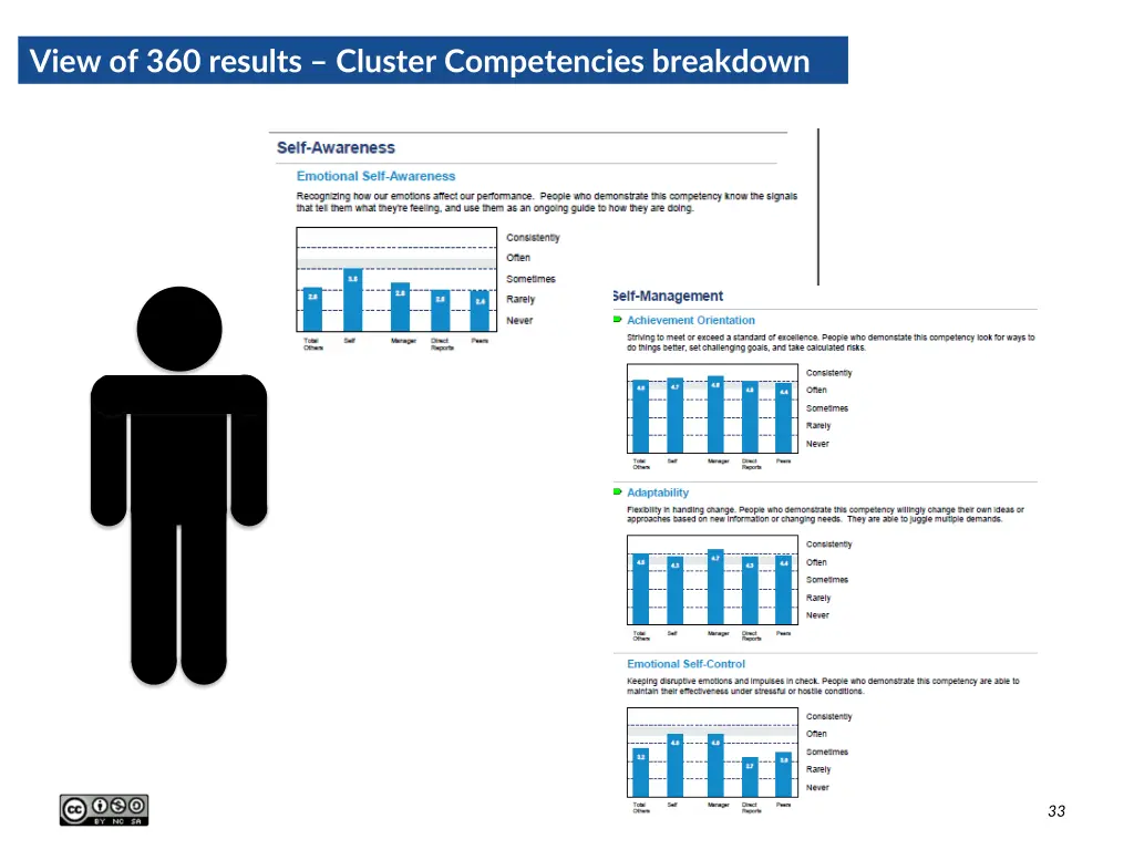 view of 360 results cluster competencies breakdown