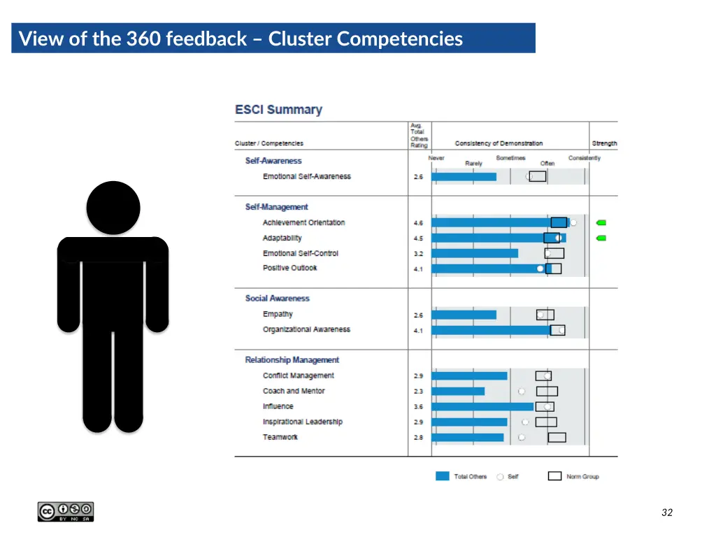 view of the 360 feedback cluster competencies