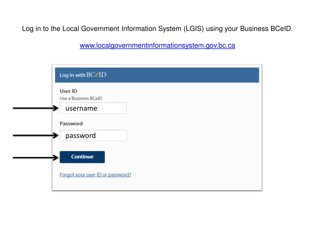 log in to the local government information system