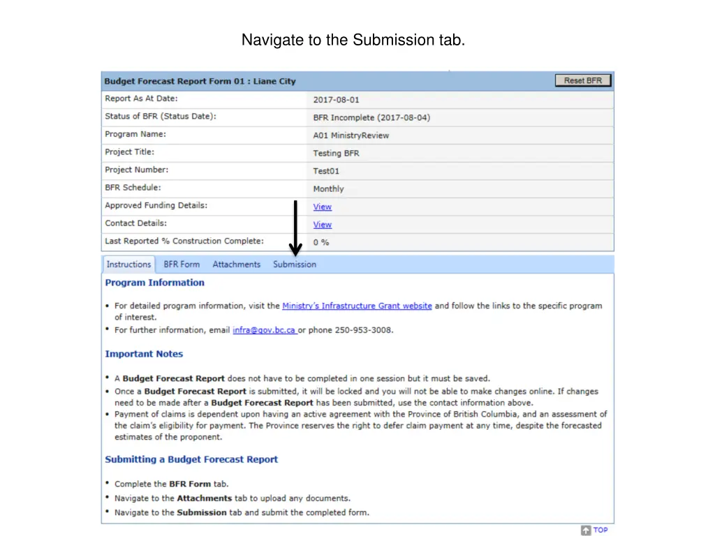 navigate to the submission tab