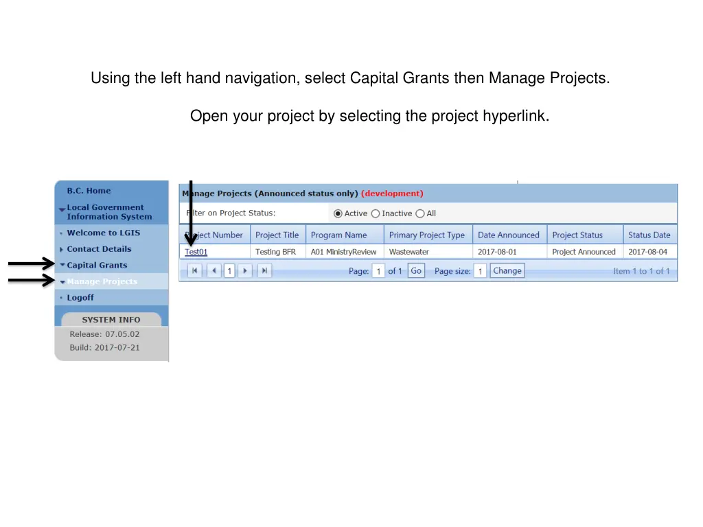 using the left hand navigation select capital