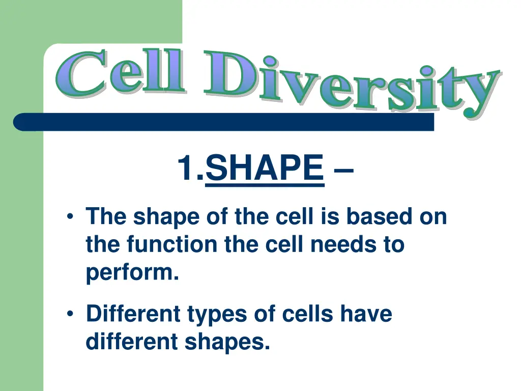 cell diversity 1