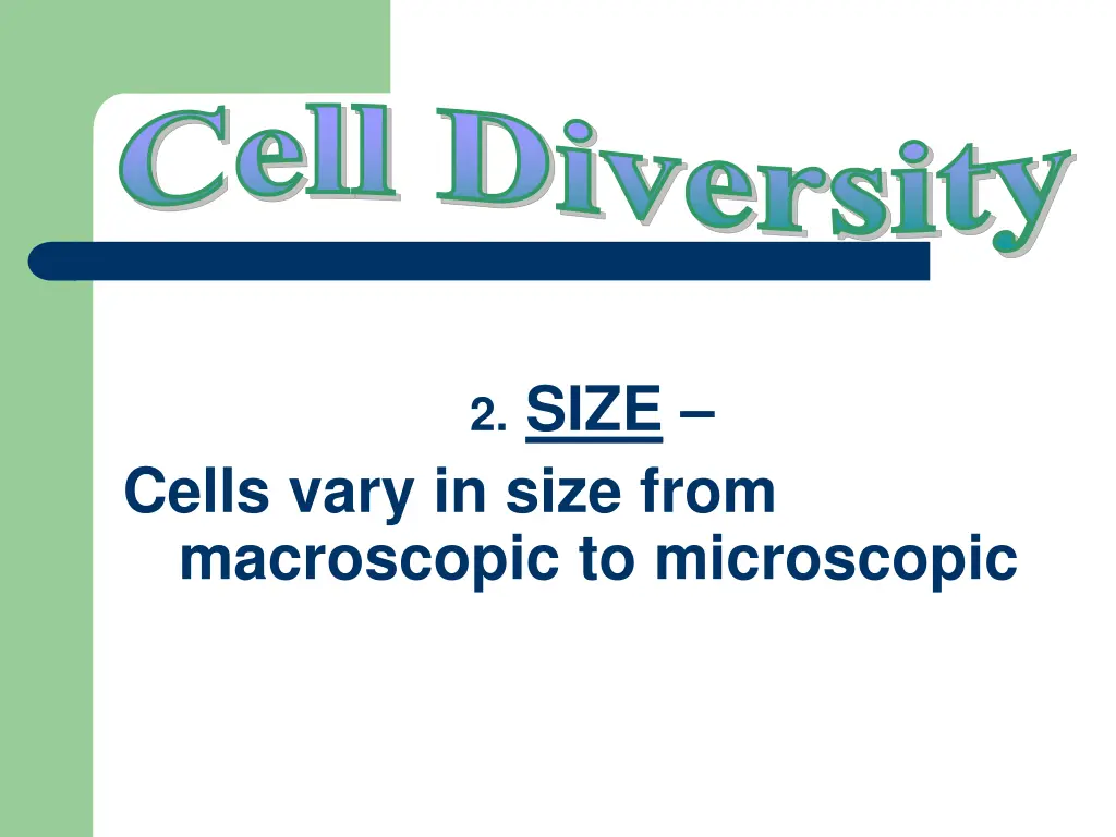 cell diversity 2