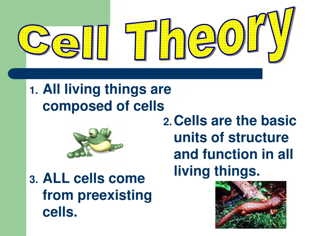 cell theory cell theory