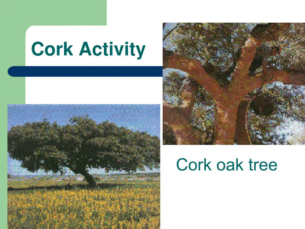 cork activity