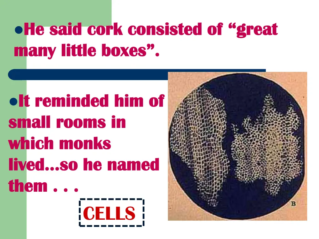 he he said cork consisted of said cork consisted