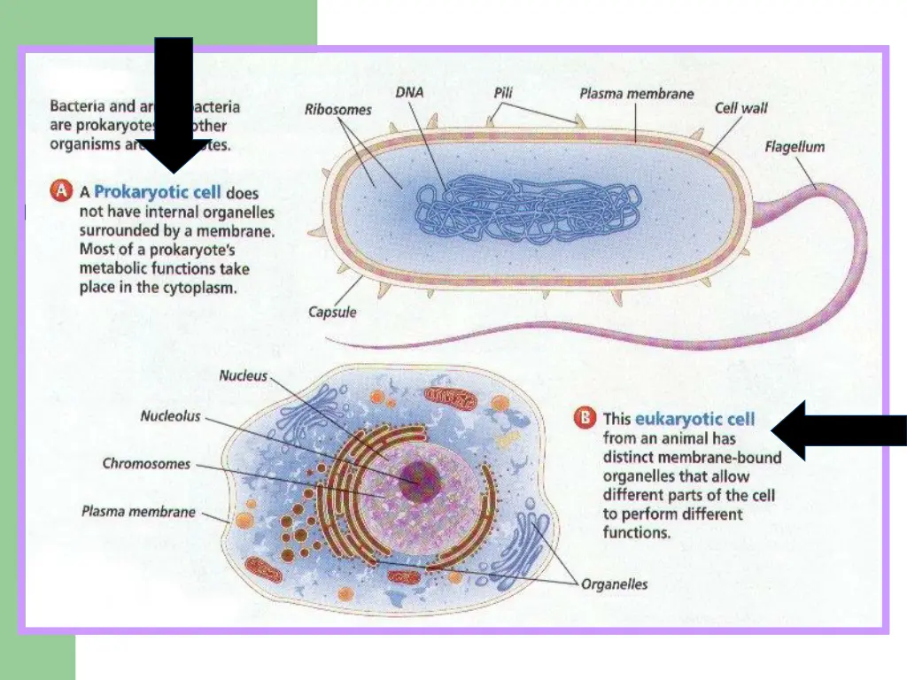 slide19
