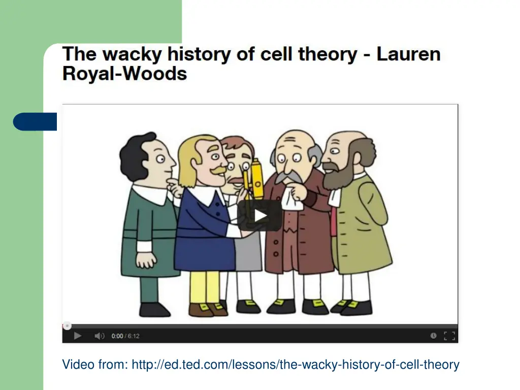 video from http ed ted com lessons the wacky