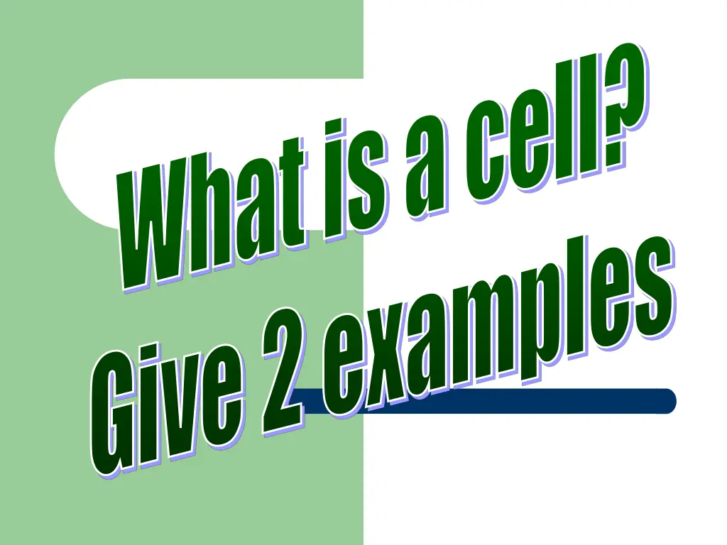 what is a cell