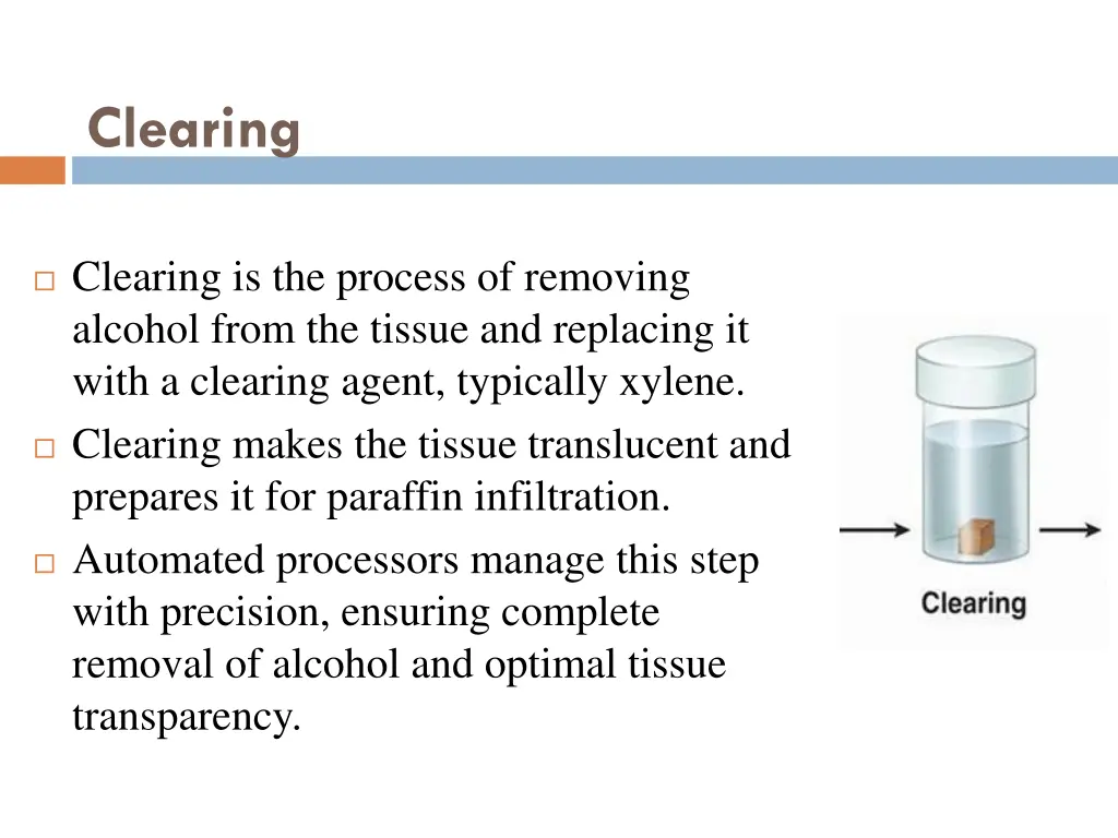 clearing