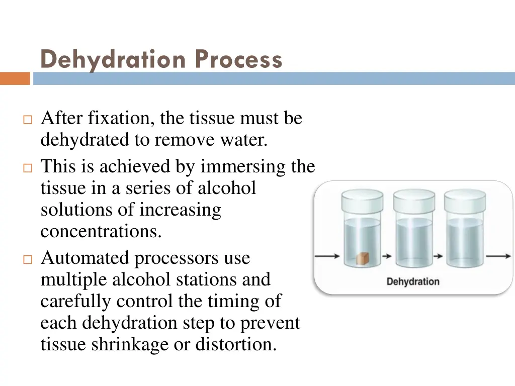 dehydration process