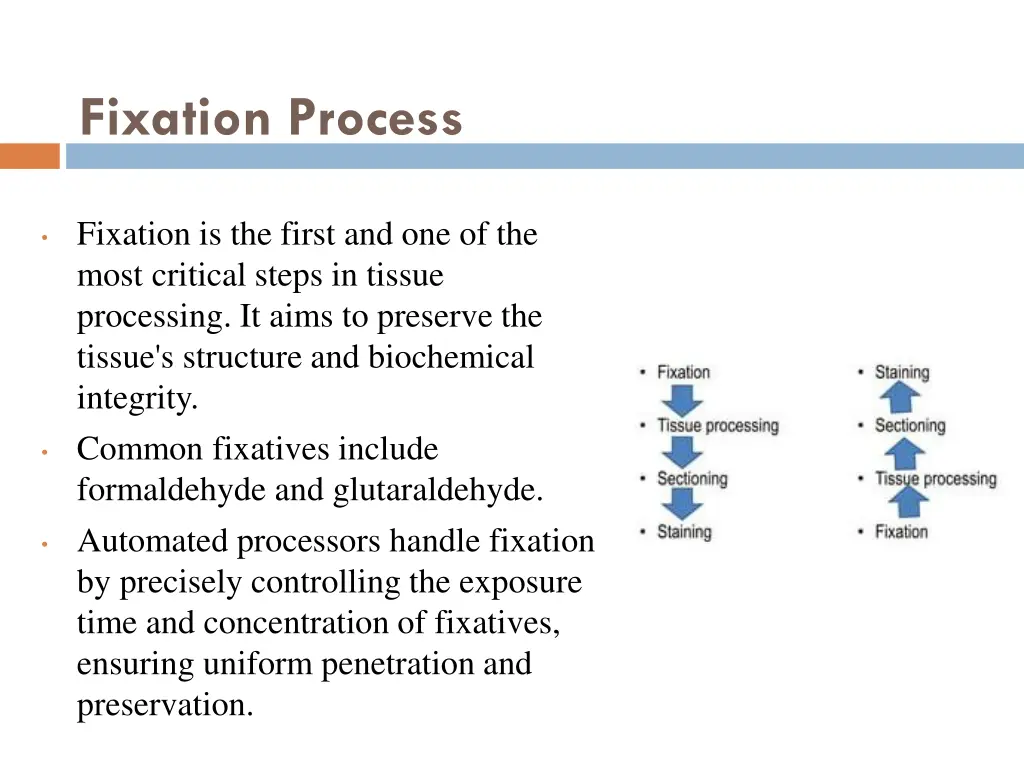 fixation process