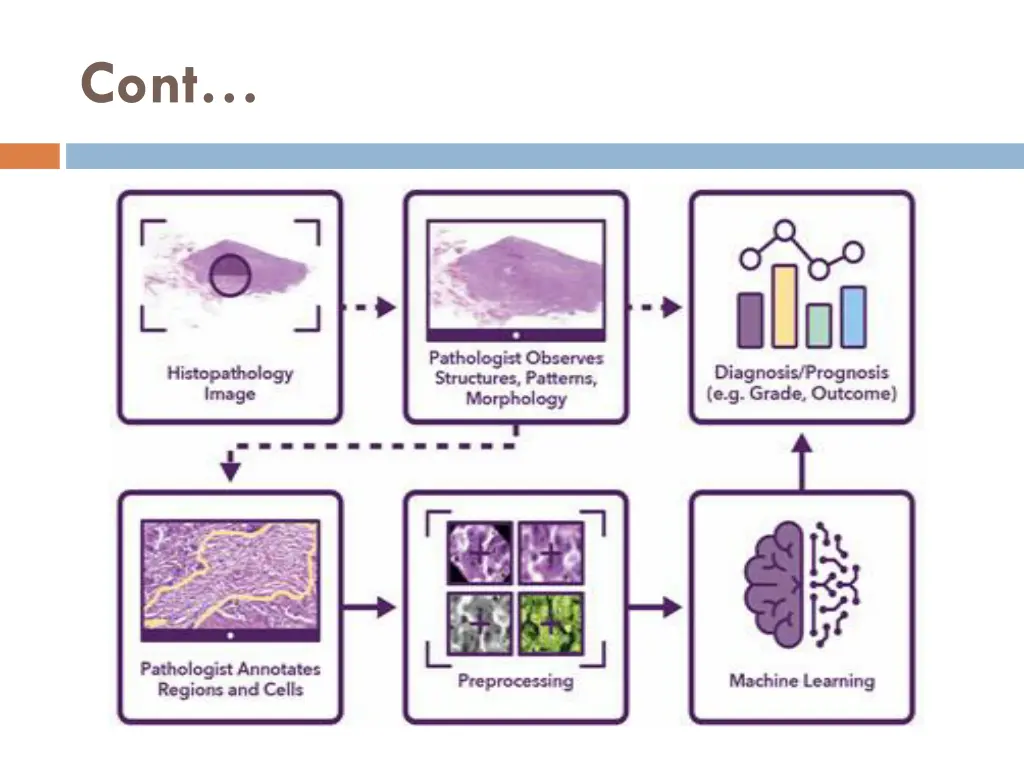 slide13