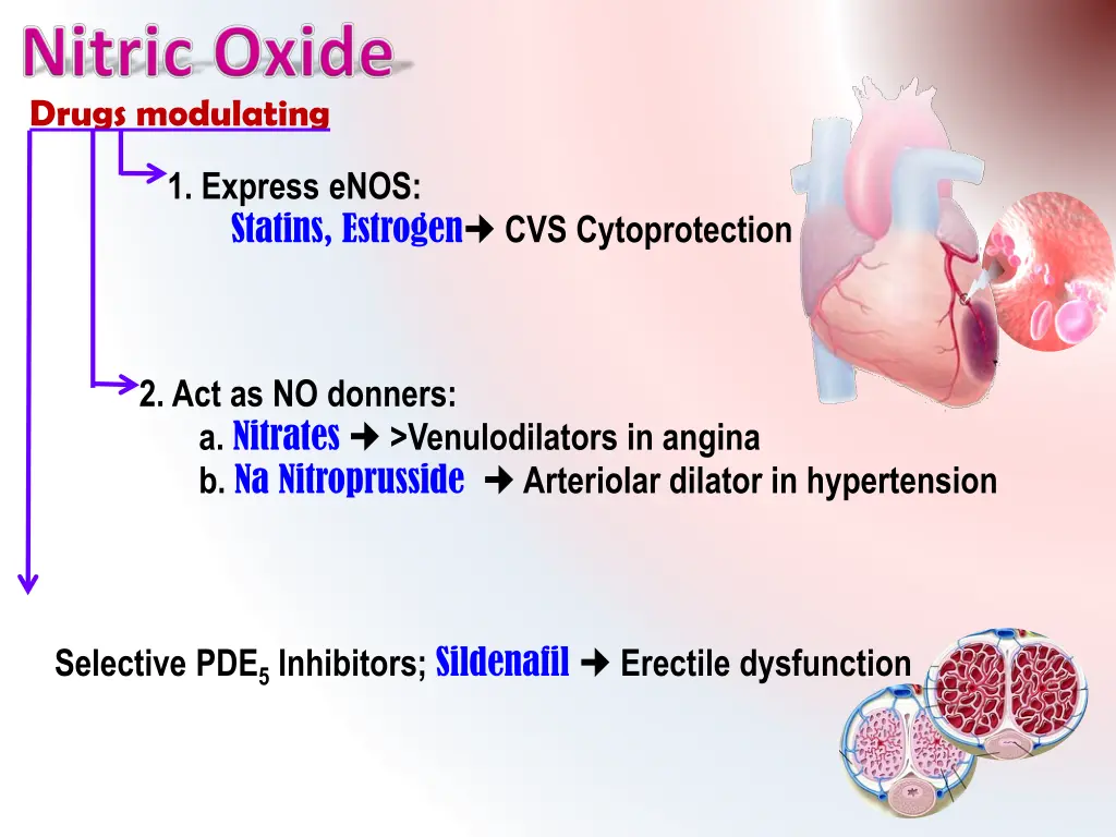 drugs modulating