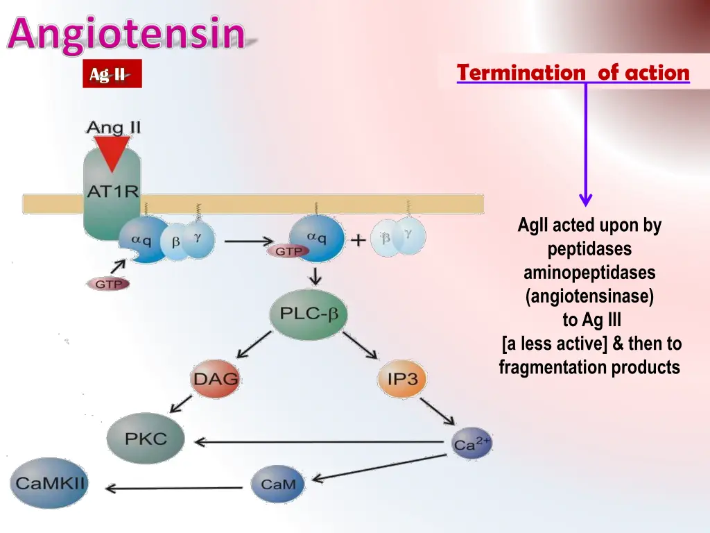 termination of action 1