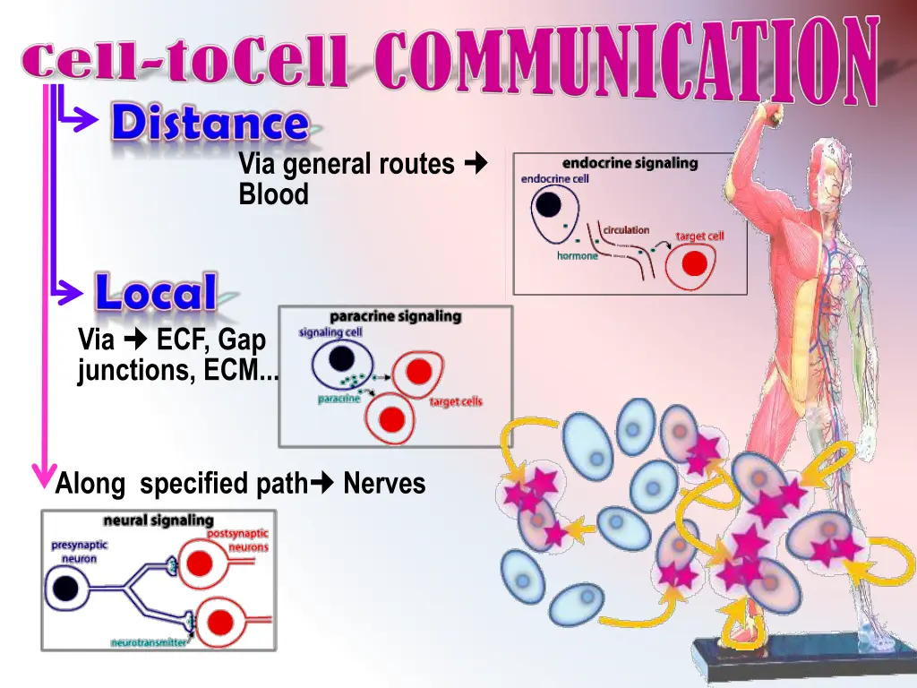 via general routes blood