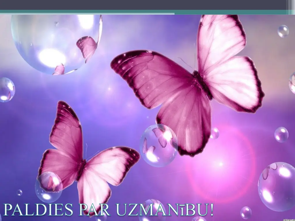 paldies par uzman bu