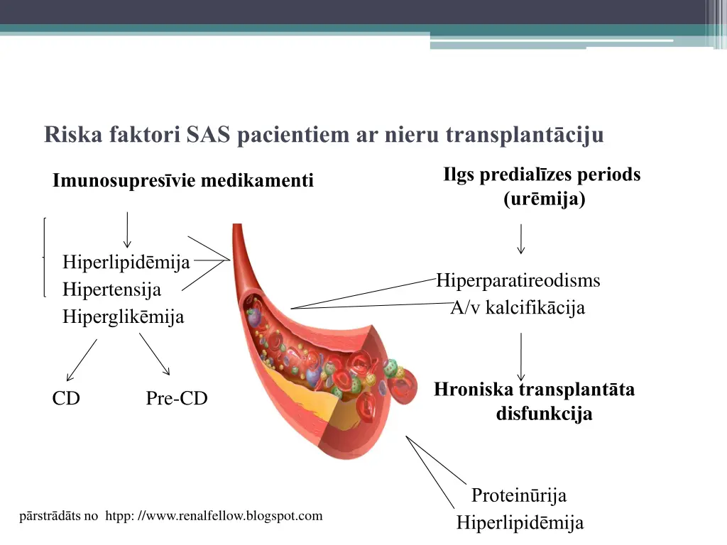 riska faktori sas pacientiem ar nieru transplant