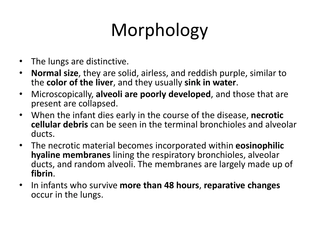 morphology