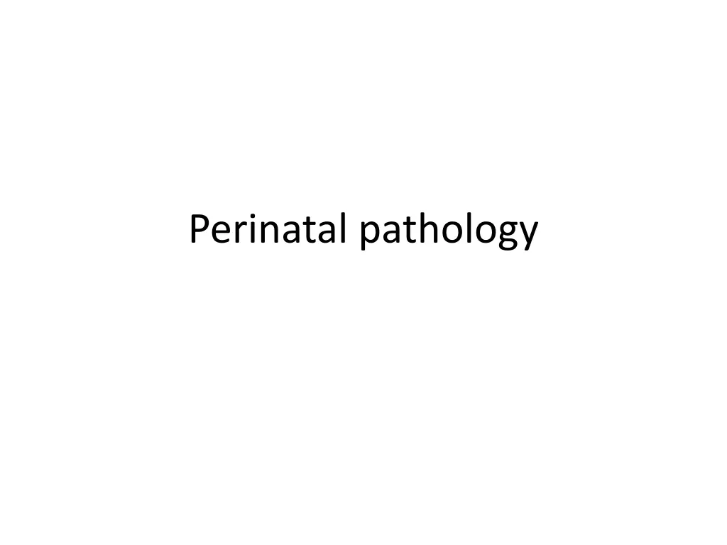 perinatal pathology