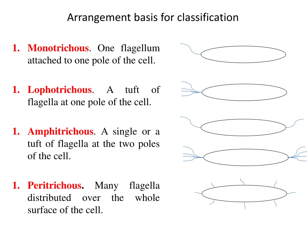 arrangement basis for classification