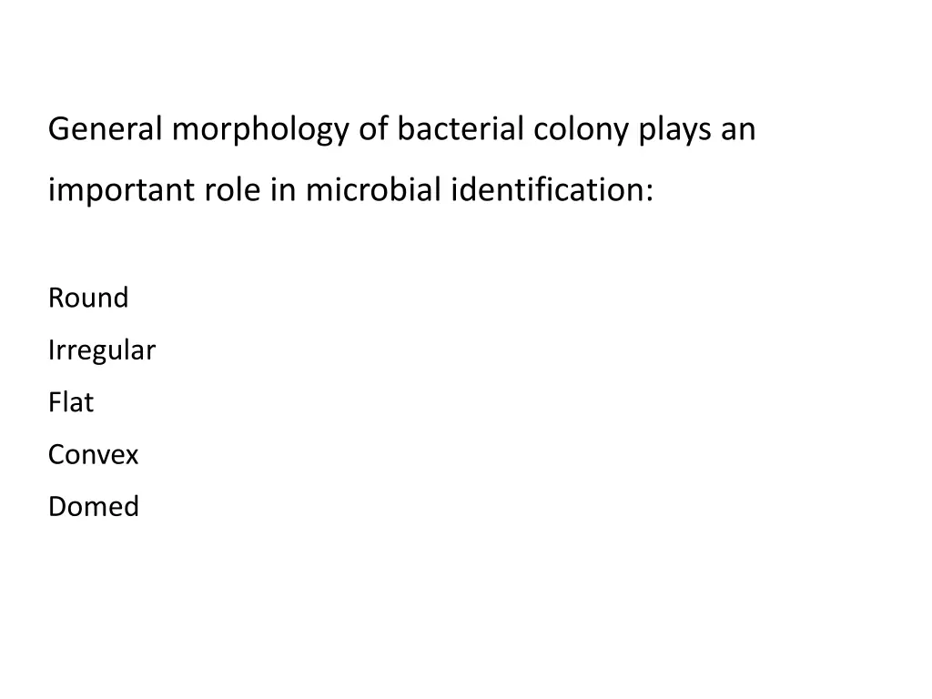 general morphology of bacterial colony plays an