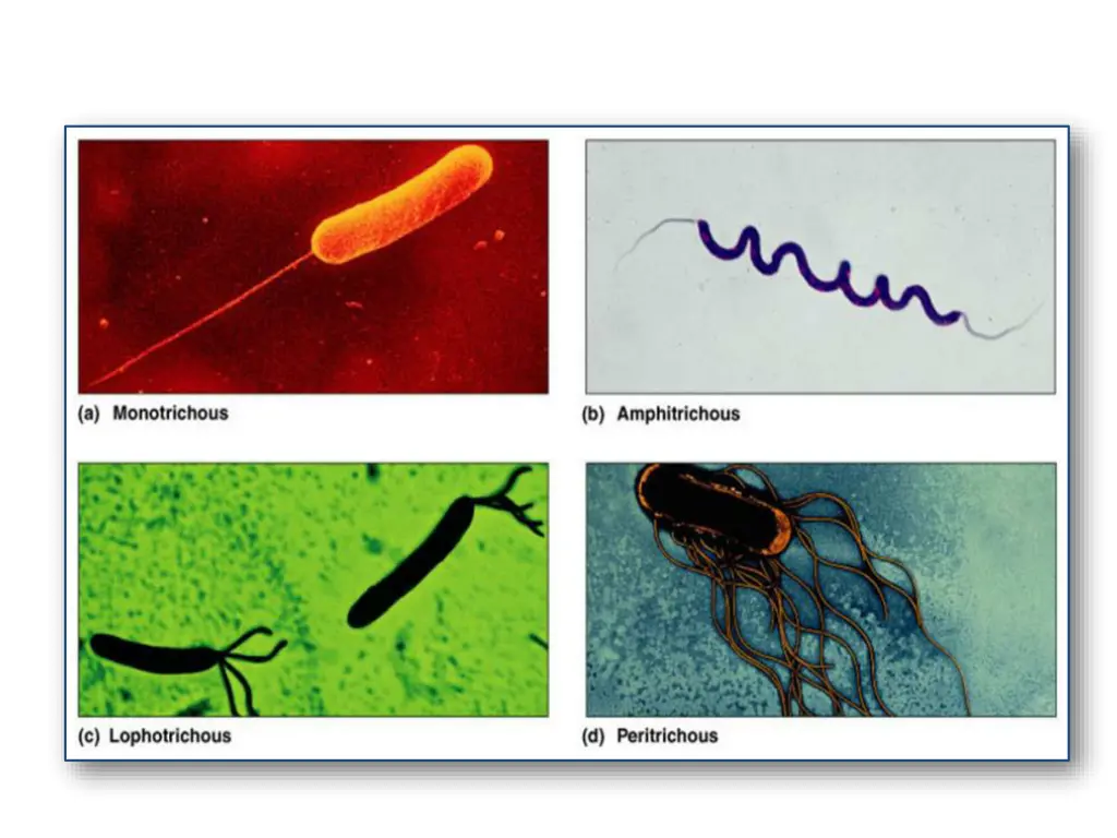 slide14