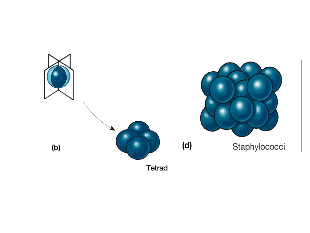 slide7