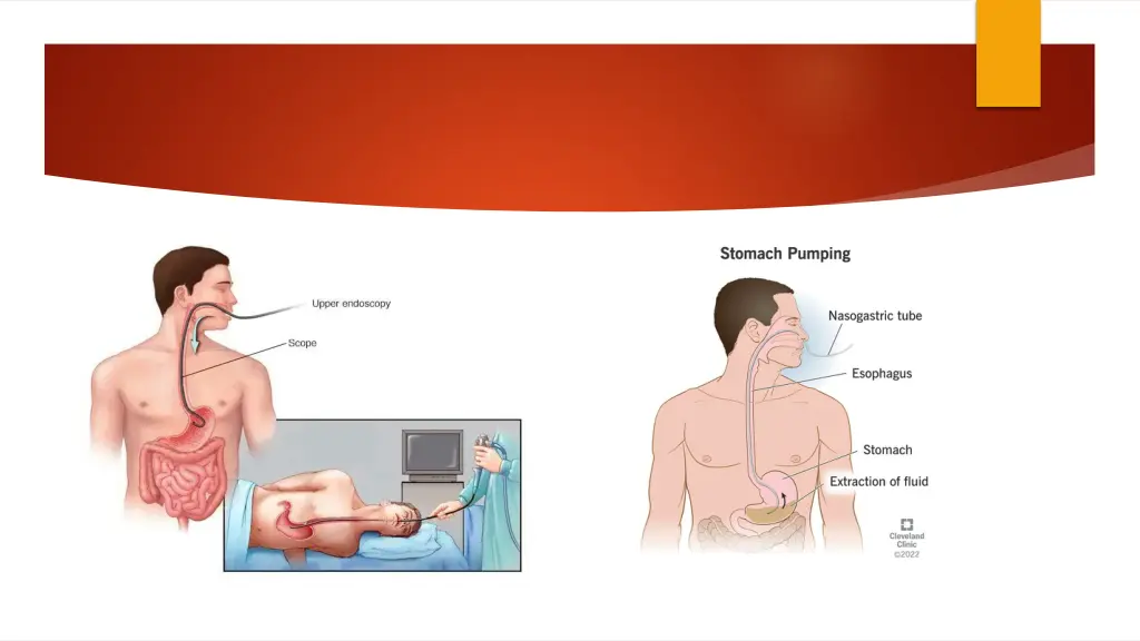 slide6