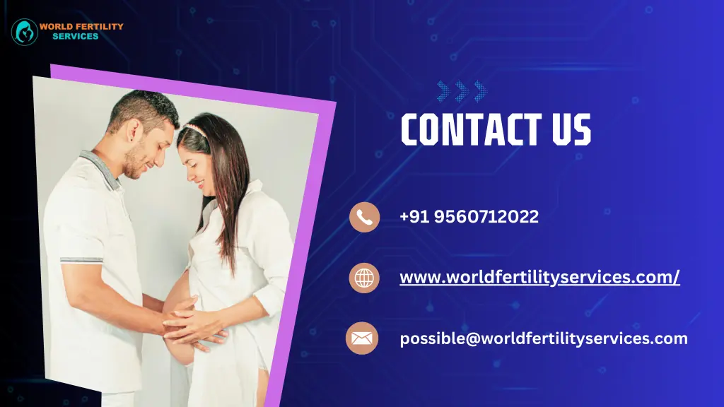 contact us