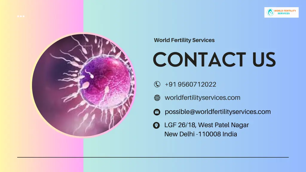 world fertility services 2