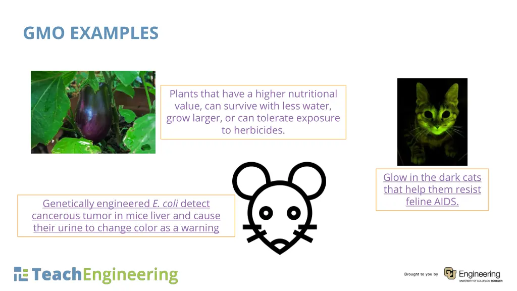 gmo examples